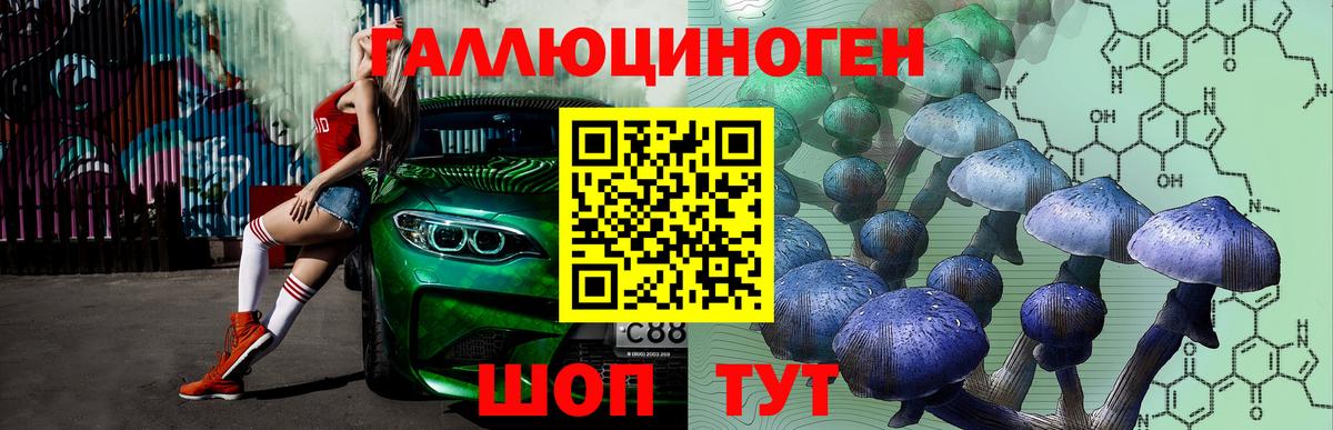 Лобня  Псилоцибиновые грибы MAGIC MUSHROOMS  наркотики  Вход с VPN 