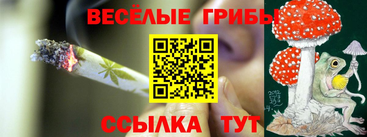 Галлюциногенные грибы мухоморы Лобня